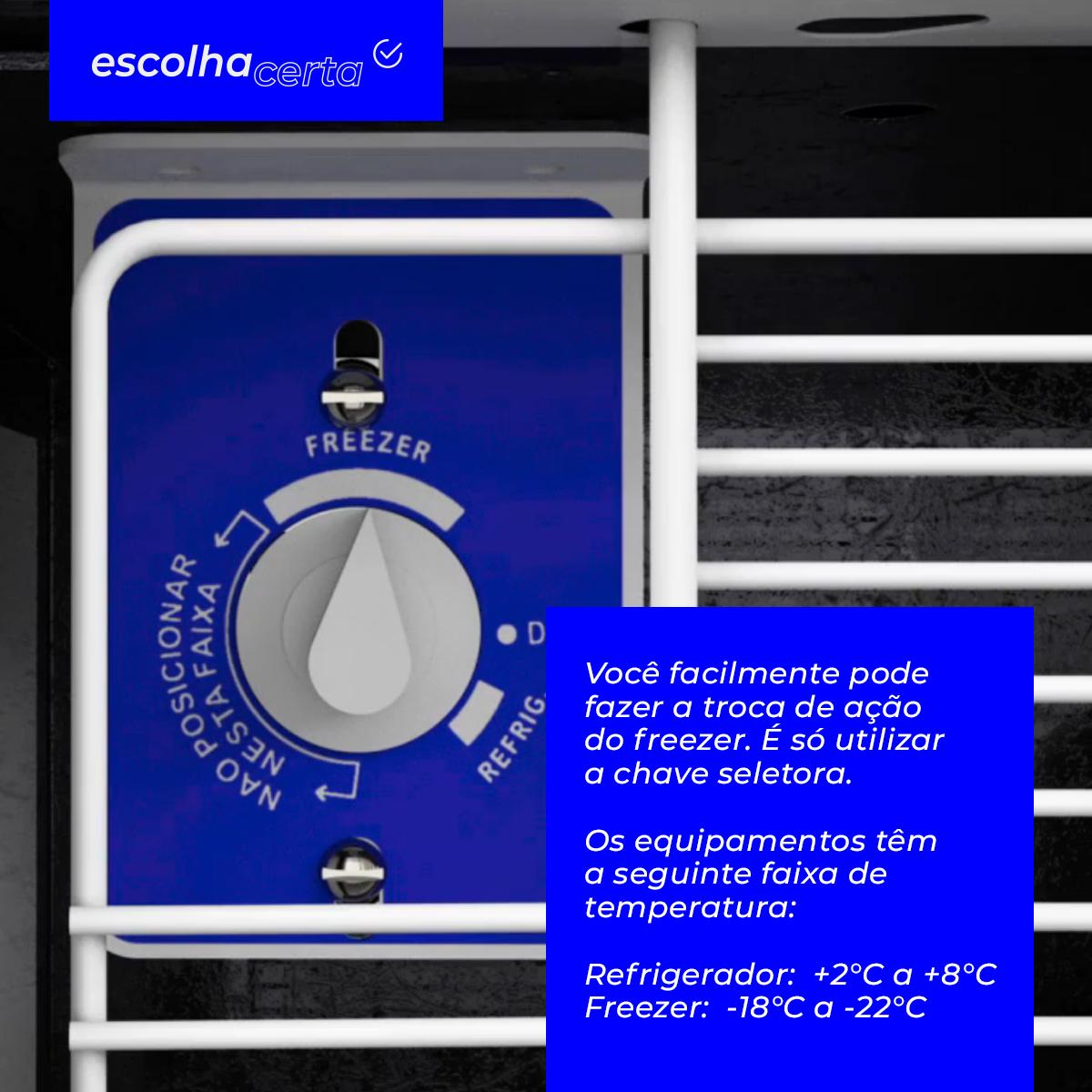 Freezer/Refrigerador Horizontal Metalfrio - DA302 - Dupla Ação - 1 Tampa - 293 Litros - Image 5