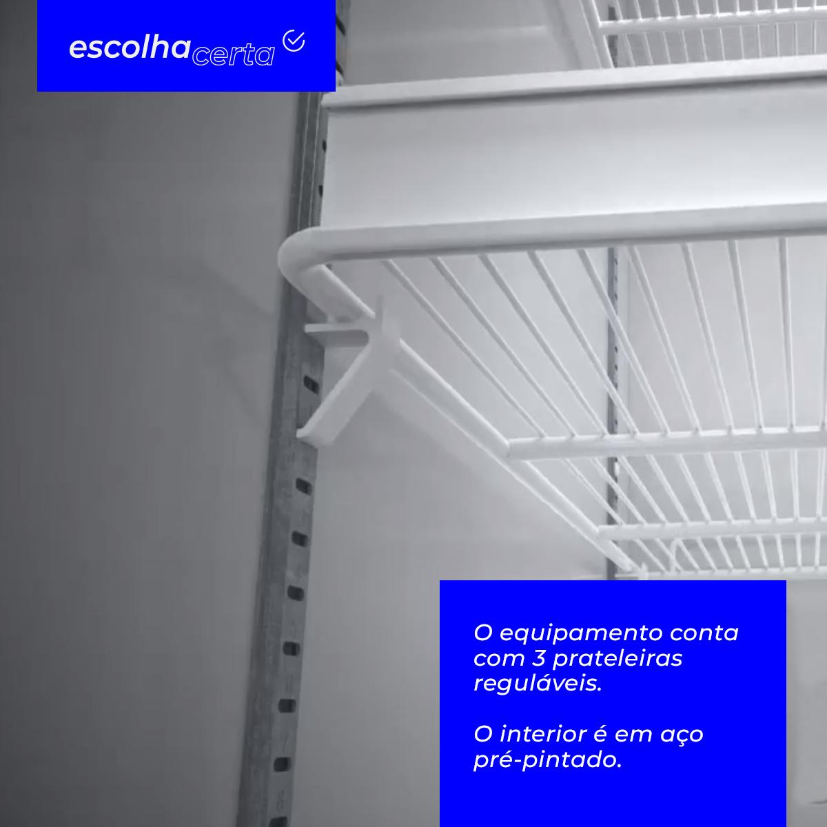 Freezer/Conservador Vertical Metalfrio - VF55F - Dupla Ação - Porta Cega com Visor - 539 Litros - Image 4